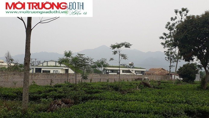 Đất 'nông trường' đang biến thành những biệt phủ trái phép!?