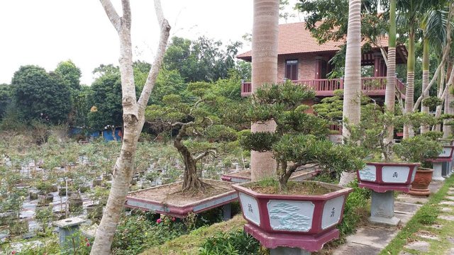 Đột nhập biệt phủ 