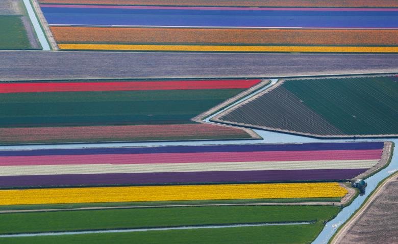 ruc-ro-canh-dong-hoa-tulip-tua-bay-sac-cau-vong