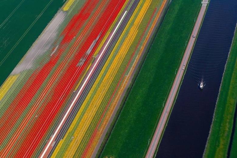 ruc-ro-canh-dong-hoa-tulip-tua-bay-sac-cau-vong