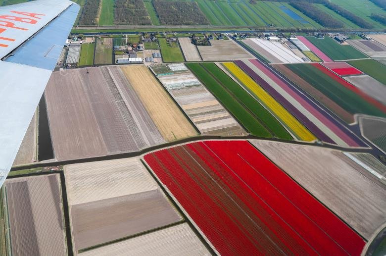 ruc-ro-canh-dong-hoa-tulip-tua-bay-sac-cau-vong