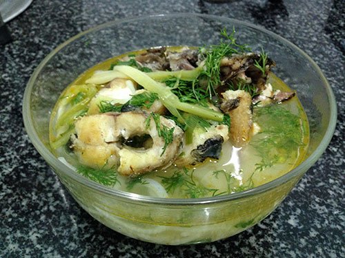 ve-quang-tri-nen-an-gi