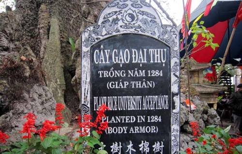 status-hay-ngay-244-chuyen-ve-cuon-sach-bi-nem-da