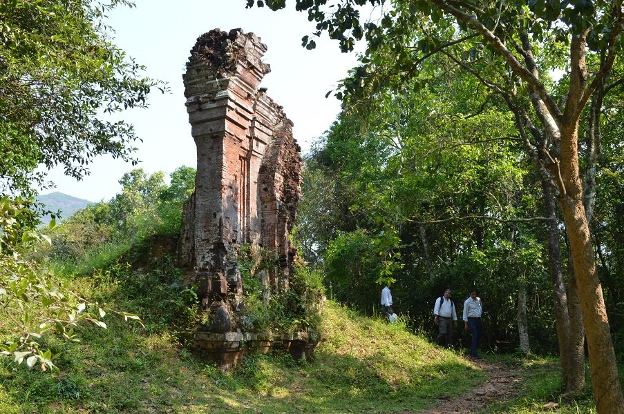 cac-chuyen-gia-an-do-dang-pha-hoai-hay-trung-tu-thanh-dia-my-son