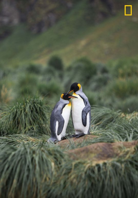 thien-nhien-day-an-tuong-tren-loat-anh-du-thi-cua-national-geographic