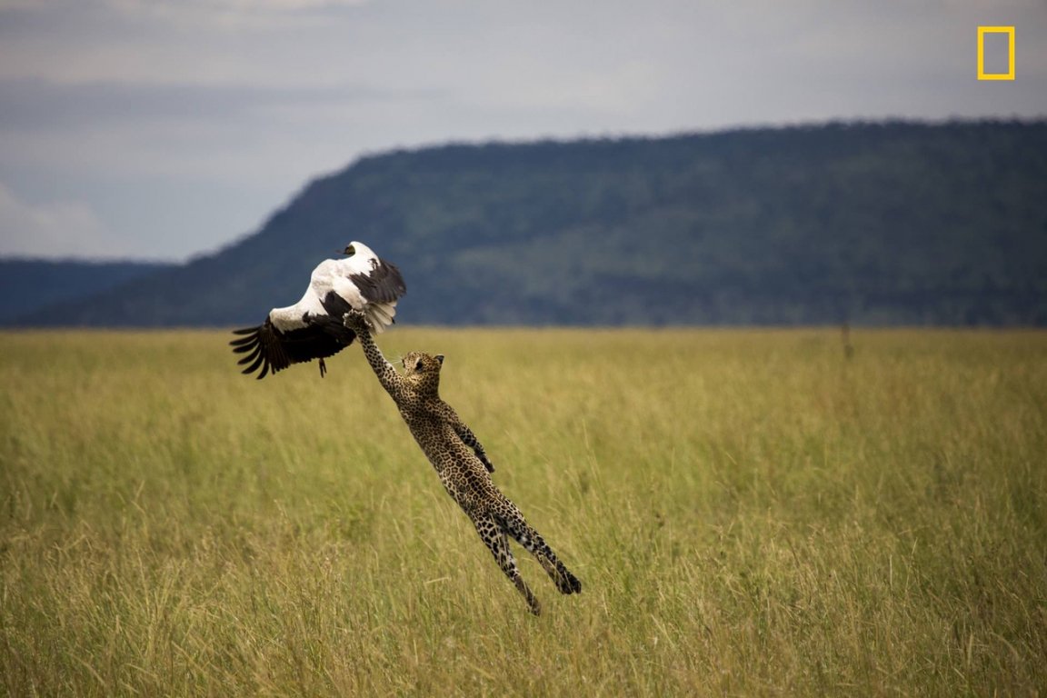 thien-nhien-day-an-tuong-tren-loat-anh-du-thi-cua-national-geographic