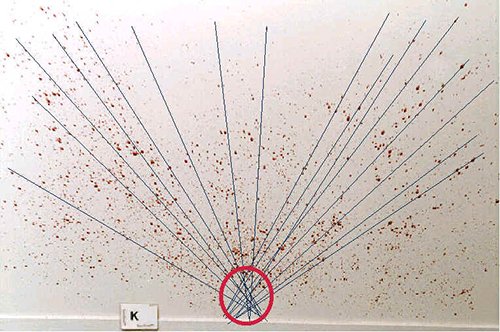 Giải mã vết máu trong điều tra án mạng