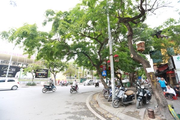 can-canh-hang-sua-do-tren-duong-tran-hung-dao-sap-di-doi-de-lam-tuyen-metro