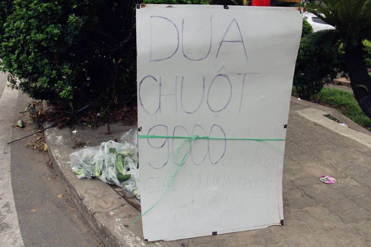 dam-mua-dai-nang-giai-cuu-gan-chuc-tan-dua-chuot