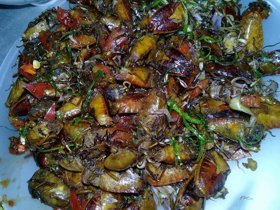 Bọ xít rang, món đặc sản Sơn La thách thức những tín đồ ẩm thực
