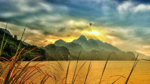 Tạp chí điện tử Môi trường & Cuộc sống