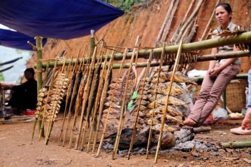 Tạp chí điện tử Môi trường & Cuộc sống