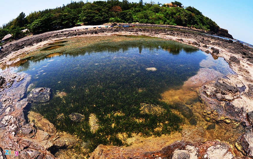 ve-quang-ngai-nen-di-dau