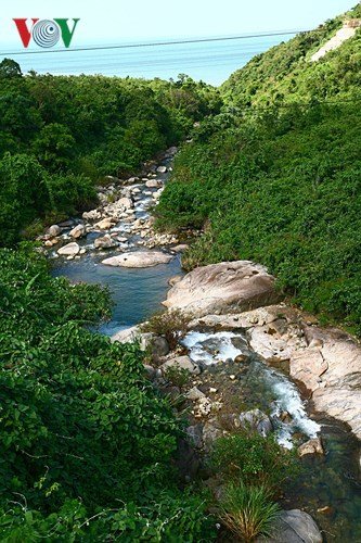 Vẻ đẹp kỳ thú trên cung đường sắt qua đèo Hải Vân