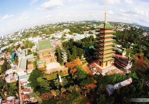ve-gia-lai-nen-di-dau