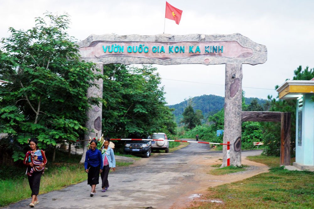 ve-gia-lai-nen-di-dau