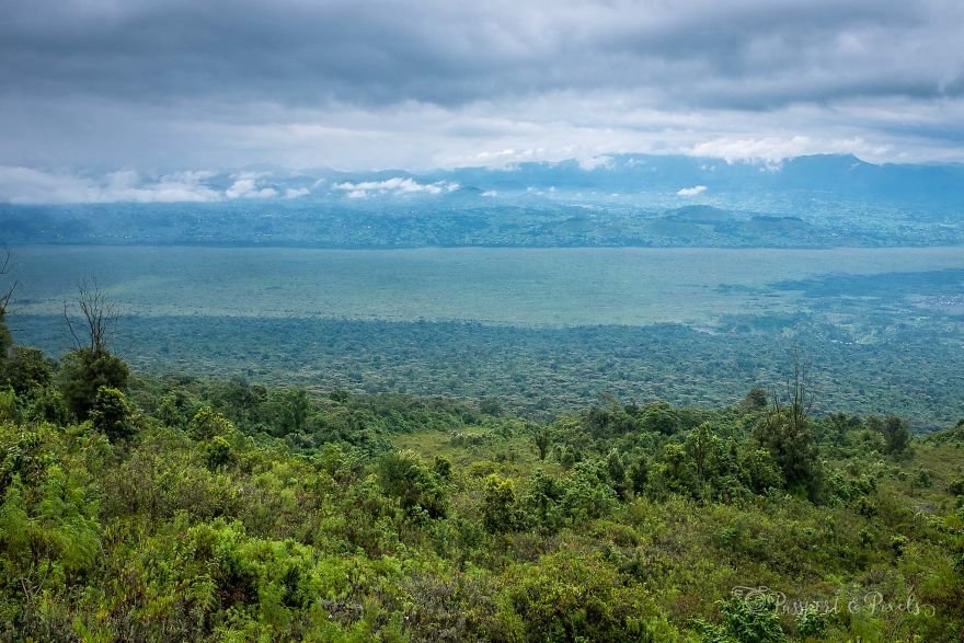canh-tuong-ngoan-muc-cua-chao-lua-nyiragongo-dang-soi-sung-suc