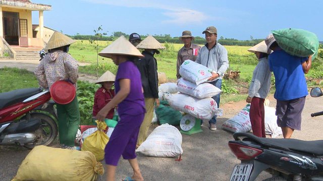 Hàng trăm hộ dân 