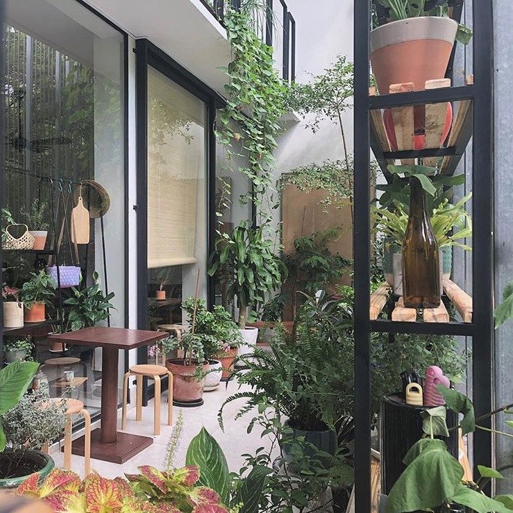 6 quán cà phê xanh mướt để tránh nóng ở Sài Gòn hình ảnh 10 6 quán cà phê xanh mướt để tránh nóng ở Sài Gòn