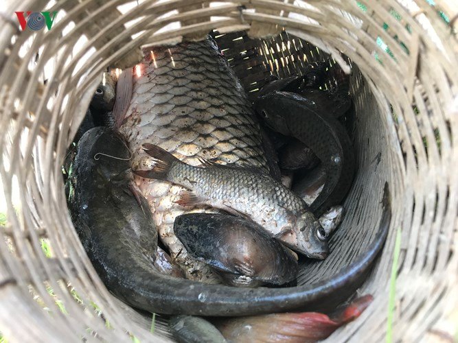 Hàng trăm người đội nắng 