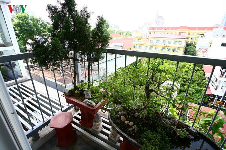 Căn hộ nhỏ ấn tượng của doanh nhân Hà Nội
