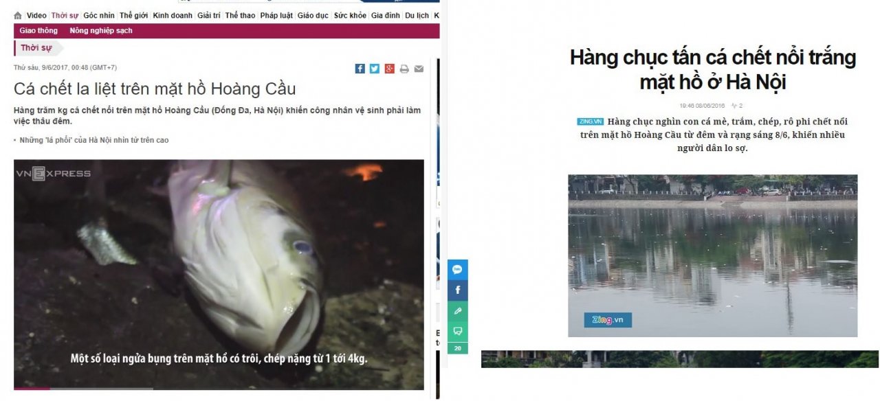 den-hen-lai-len-ca-ho-hoang-cau-lai-chet
