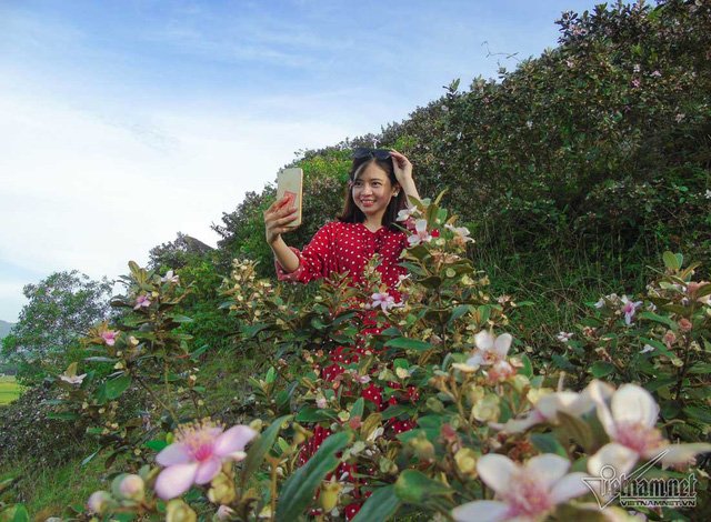 Đồi sim tím lịm bậc nhất xứ Nghệ: Dân teen đổ xô 'seo phì' giữa nắng