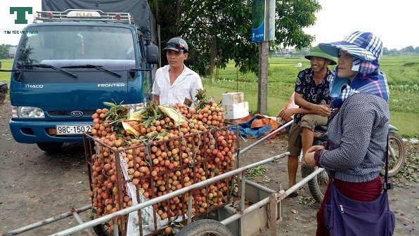hinh-anh-ve-vu-mua