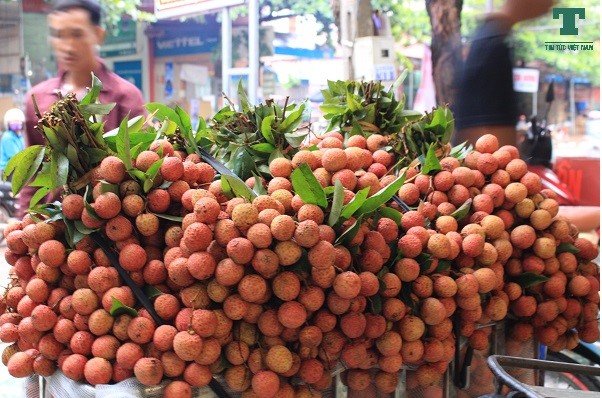 hinh-anh-ve-vu-mua