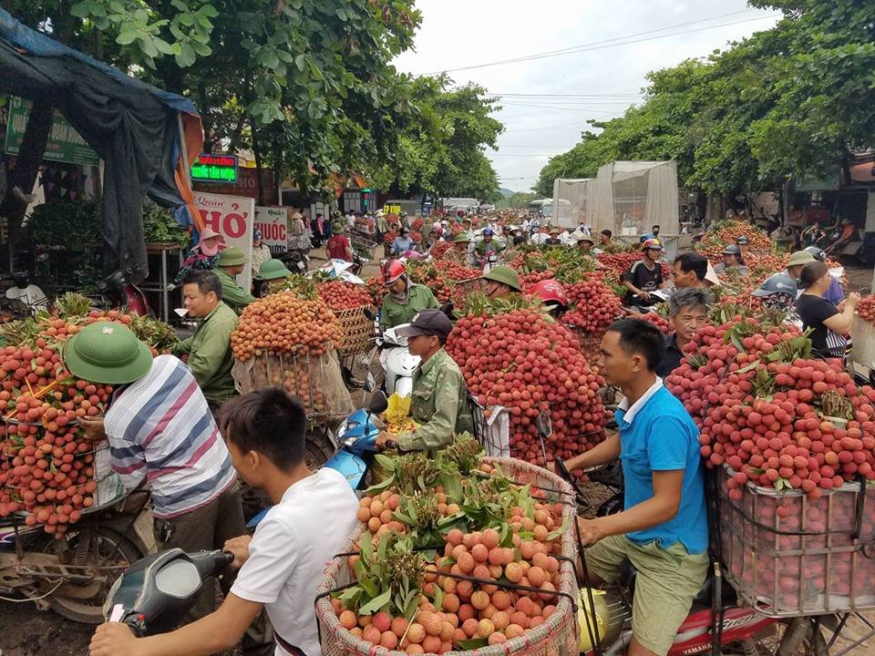 vua-vai-vung-thu-phu-bac-giang-lien-tuc-tac-duong