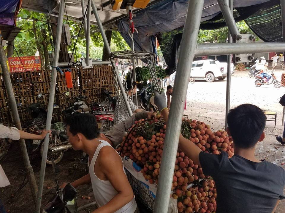 vua-vai-vung-thu-phu-bac-giang-lien-tuc-tac-duong