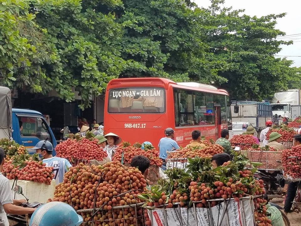 vua-vai-vung-thu-phu-bac-giang-lien-tuc-tac-duong