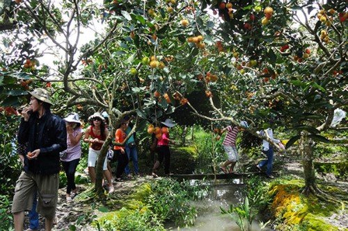 Du lịch tháng 6, 'đưa nhau đi trốn' ở đâu?