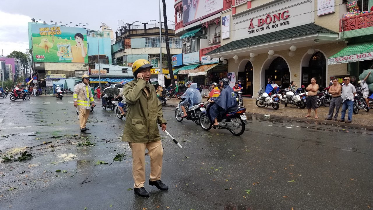 mua-to-kem-theo-gio-lon-khien-hang-loat-cay-xanh-bat-goc-de-nat-o-to-bien-quang-cao-bi-quat-nga-o-tp-hcm