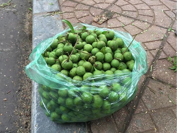 ha-noi-hai-sau-via-he-thu-ve-tien-trieu-moi-ngay