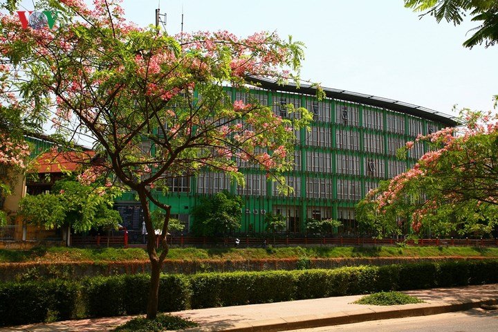 Xứ Huế rực rỡ trong sắc màu mùa hạ