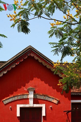 Xứ Huế rực rỡ trong sắc màu mùa hạ