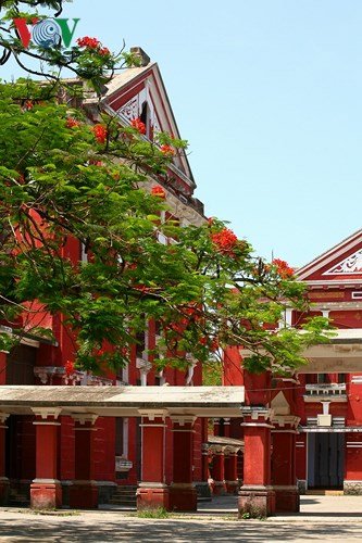 Xứ Huế rực rỡ trong sắc màu mùa hạ