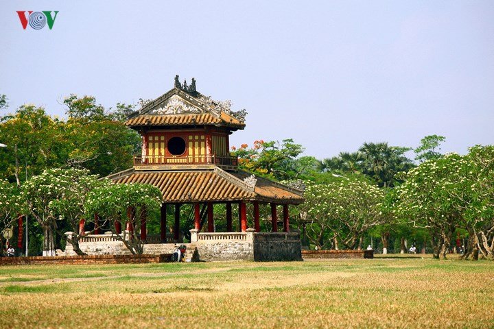 Xứ Huế rực rỡ trong sắc màu mùa hạ
