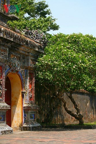 Xứ Huế rực rỡ trong sắc màu mùa hạ