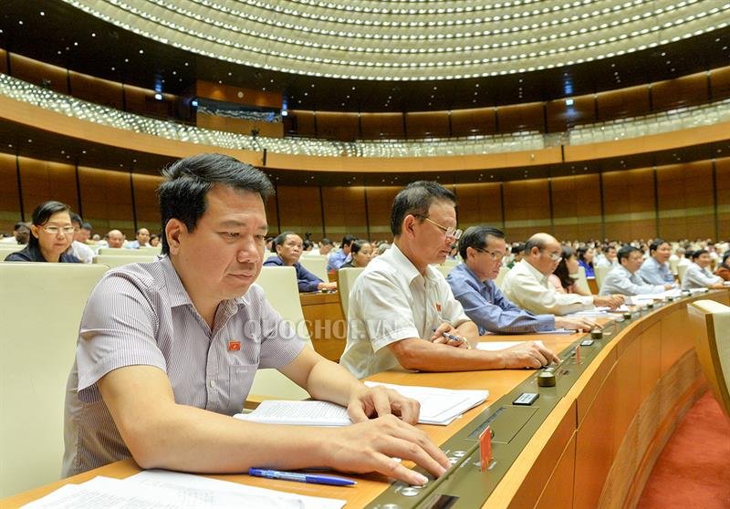 thong-qua-luat-the-duc-the-thao-nguoi-dan-duoc-dat-cuoc-the-thao