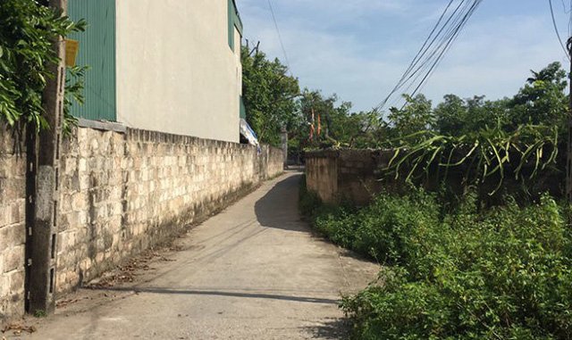 tra-ho-so-dieu-tra-bo-sung-vu-dung-500-trieu-dong-de-thue-nguoi-ban-chet-giam-doc-doanh-nghiep-o-ha-nam