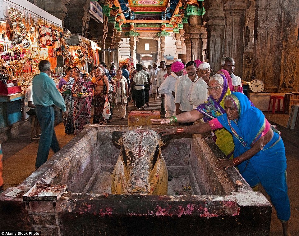 ghe-tham-ngoi-den-ruc-ro-sac-mau-voi-muon-van-hinh-thu-ky-quai