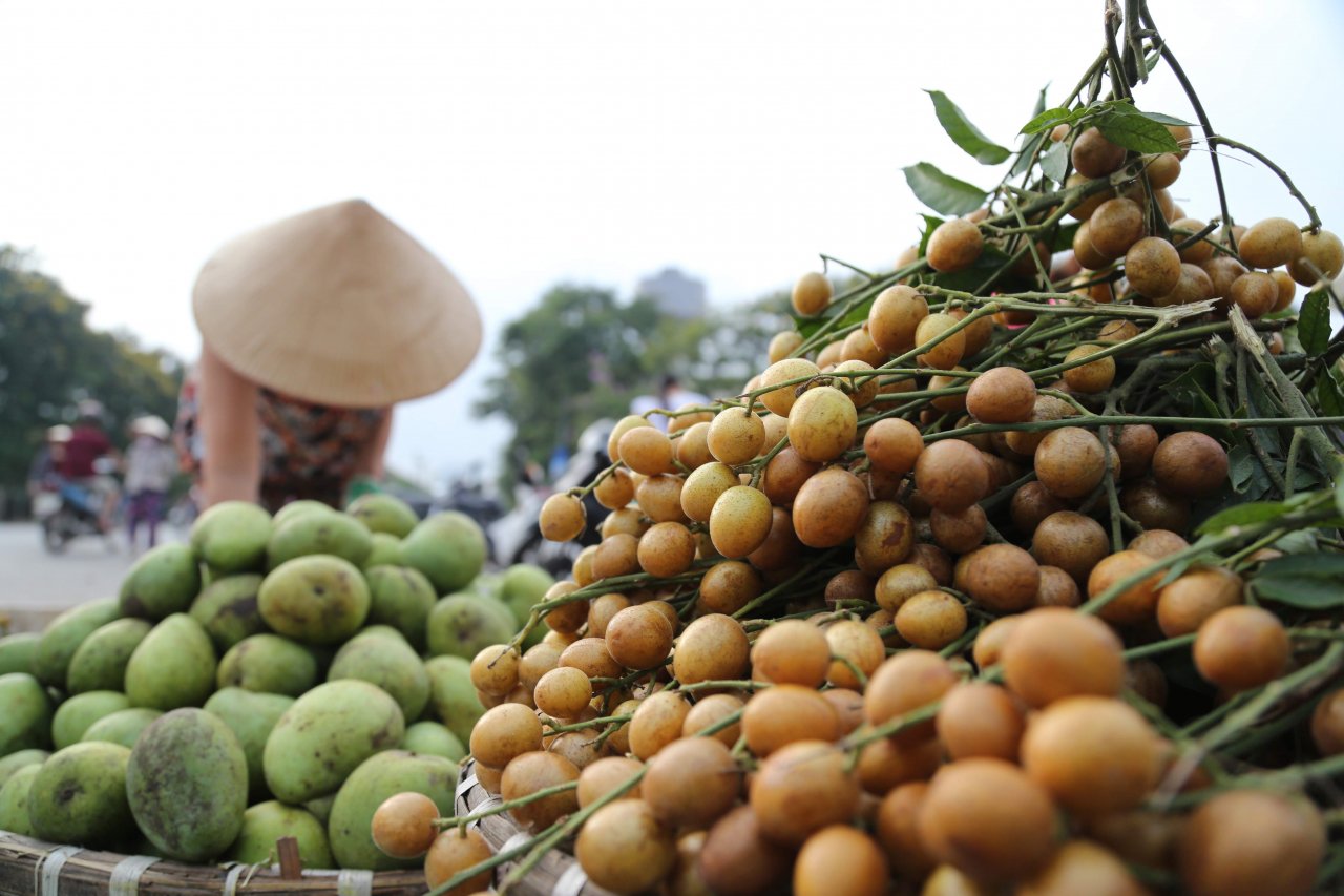 nguoi-dan-ha-noi-no-nuc-mua-hoa-qua-ruou-nep-chiet-sau-bo-ngay-tet-doan-ngo