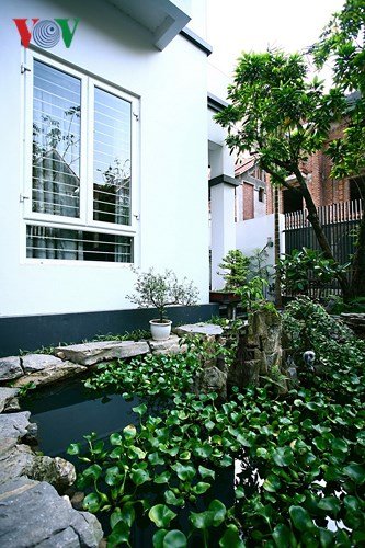 Kinh nghiệm thiết kế sân vườn đẹp