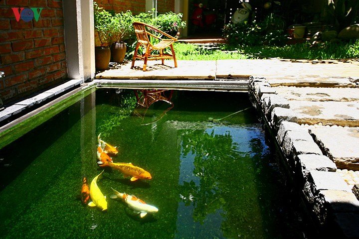 Kinh nghiệm thiết kế sân vườn đẹp