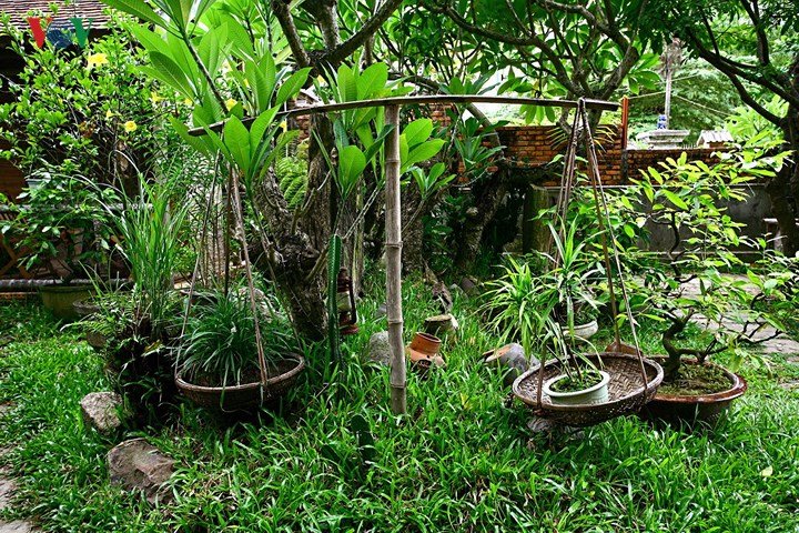 Kinh nghiệm thiết kế sân vườn đẹp