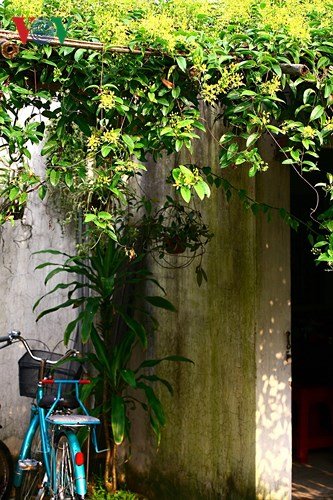 Kinh nghiệm thiết kế sân vườn đẹp