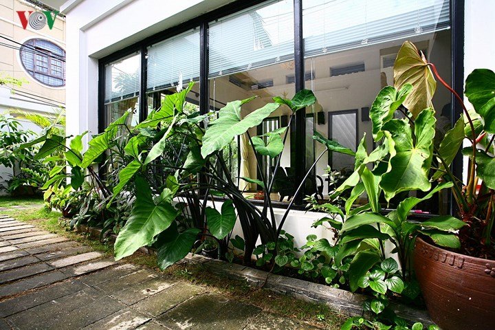 Kinh nghiệm thiết kế sân vườn đẹp