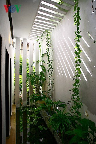 Kinh nghiệm thiết kế sân vườn đẹp